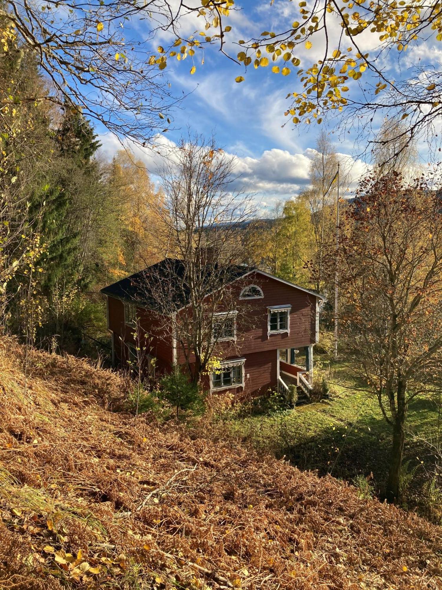 Charmig Villa Med Bastu Och Snabbt Wifi Langav ภายนอก รูปภาพ