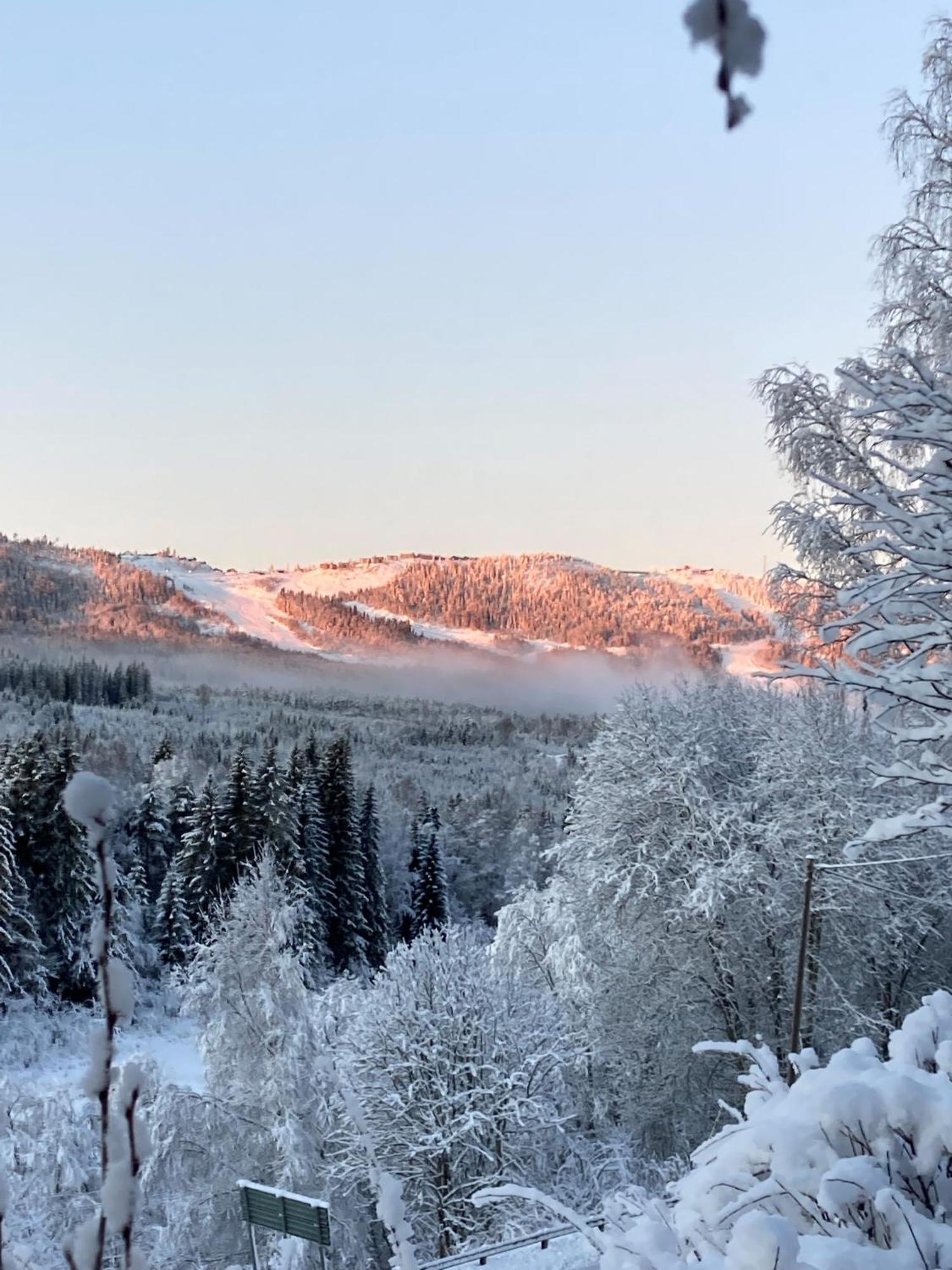 Charmig Villa Med Bastu Och Snabbt Wifi Langav ภายนอก รูปภาพ